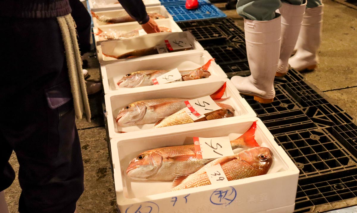 近海魚の卸売コーナーの一角にて。産地との情報交換を密にし、全国から選りすぐりの水産物を集荷できるように努めています