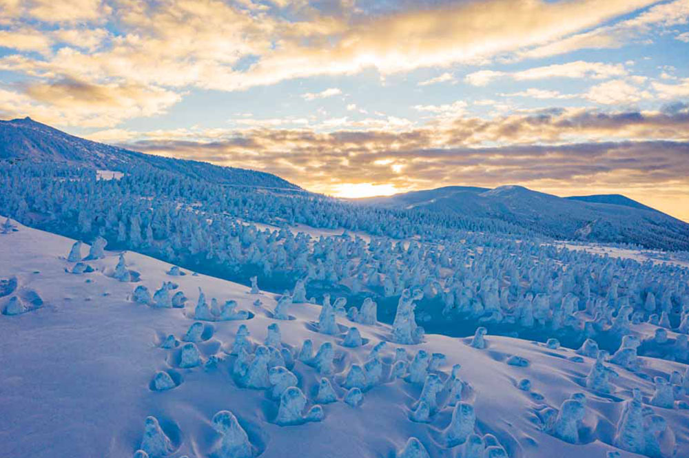 朝陽に彩られる雪と氷の芸術「樹氷」