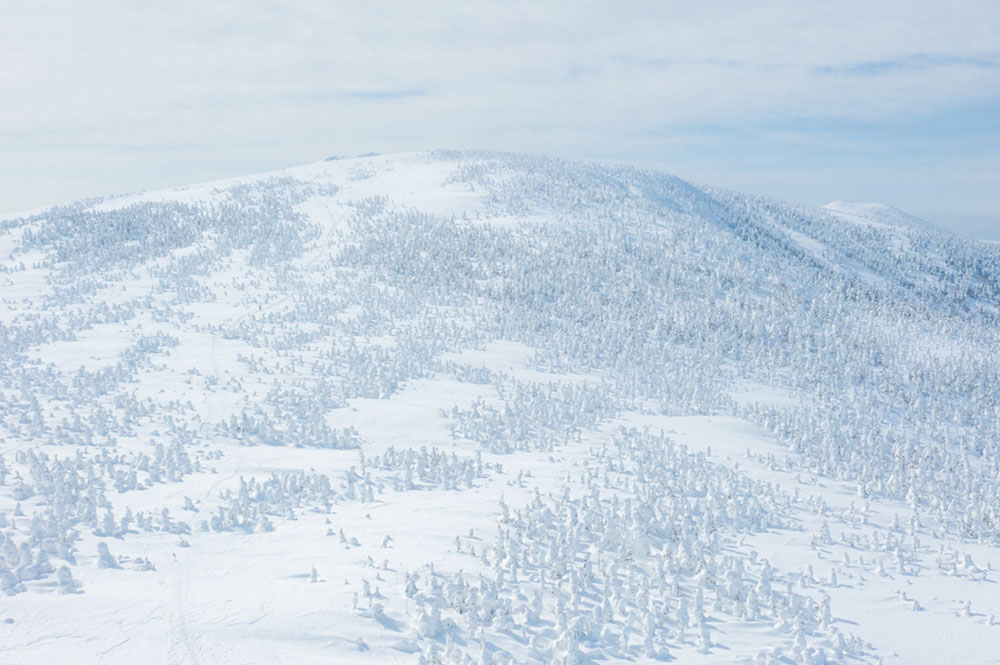 西吾妻山の樹氷はサイズが小さく「リトルスノーモンスター」と呼ばれる