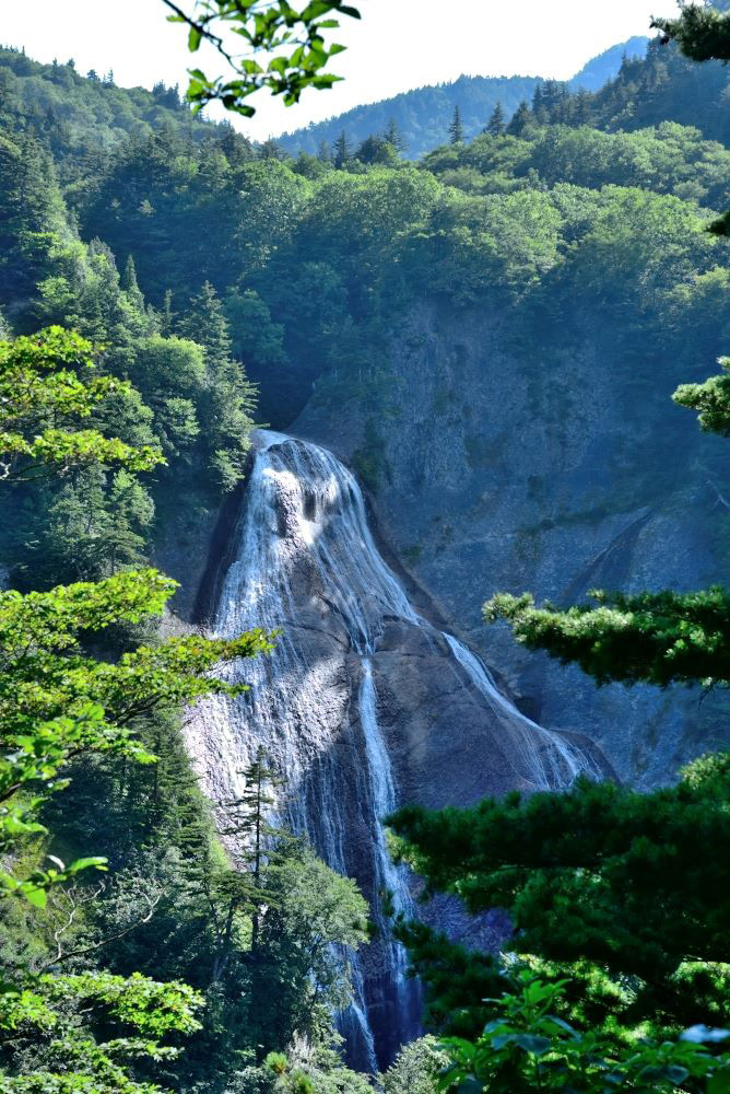 深緑に囲まれる滑川大滝を滝見台付近から望む