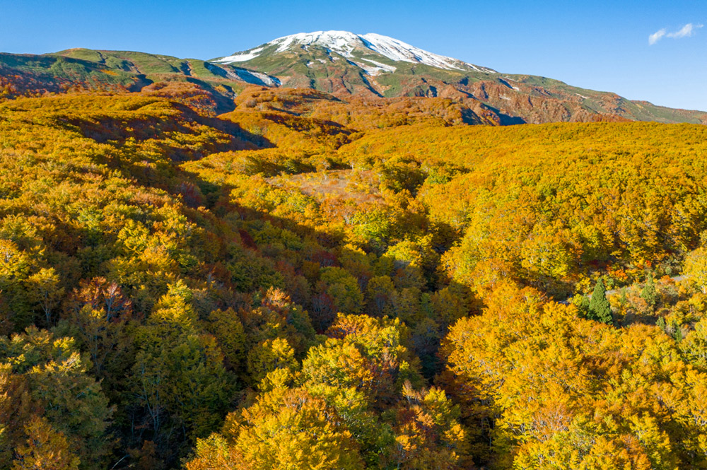 10月＿紅葉が山麓へ広がり鳥海山全体が紅葉の絨毯に包まれる