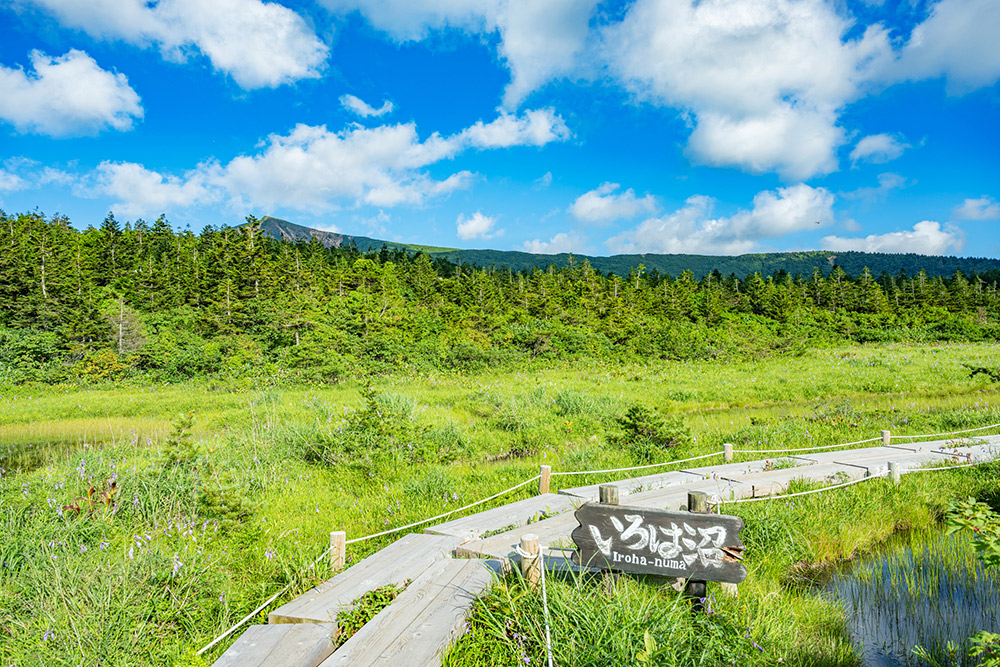 いろは沼入口の看板