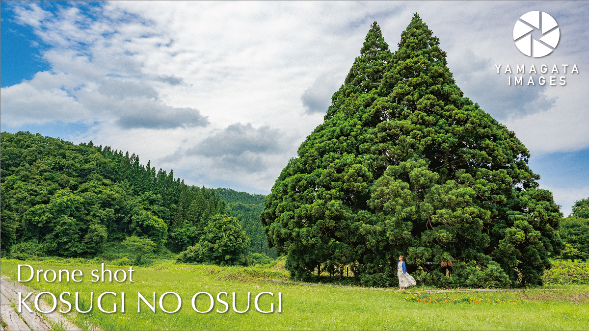 YAMAGATA IMAGES DRONE SHOT