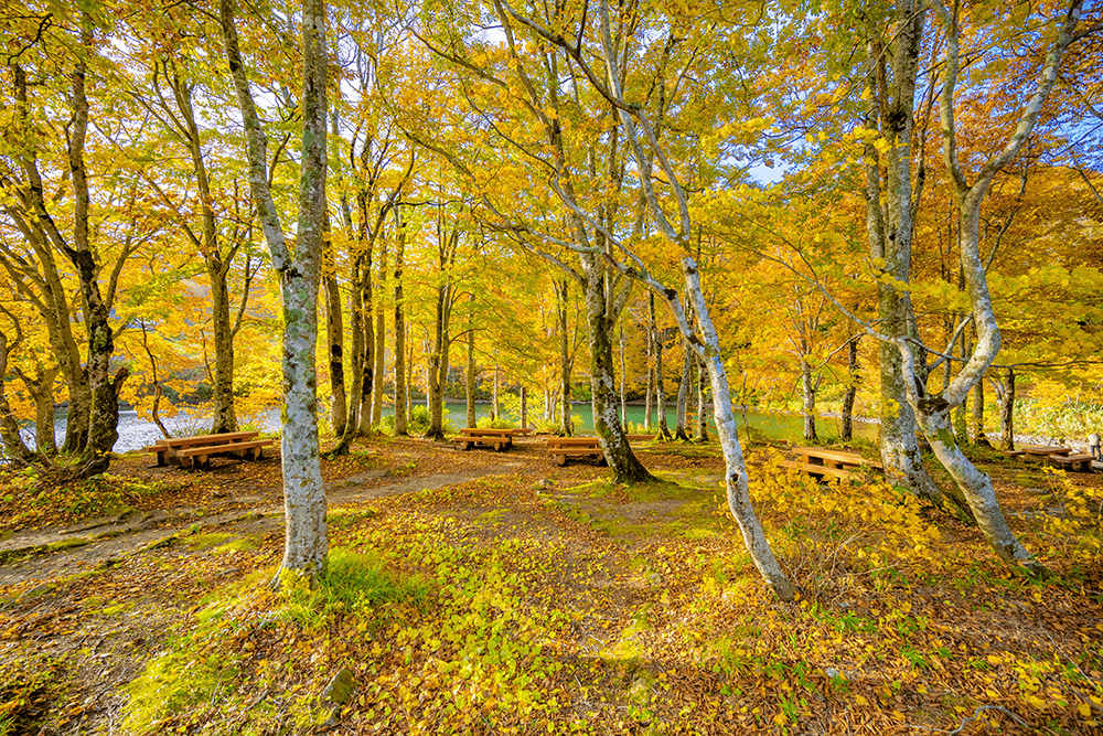 竜神伝説の沼「ドッコ沼」