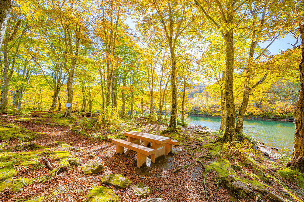 テーブルとベンチでのんびりと寛げる