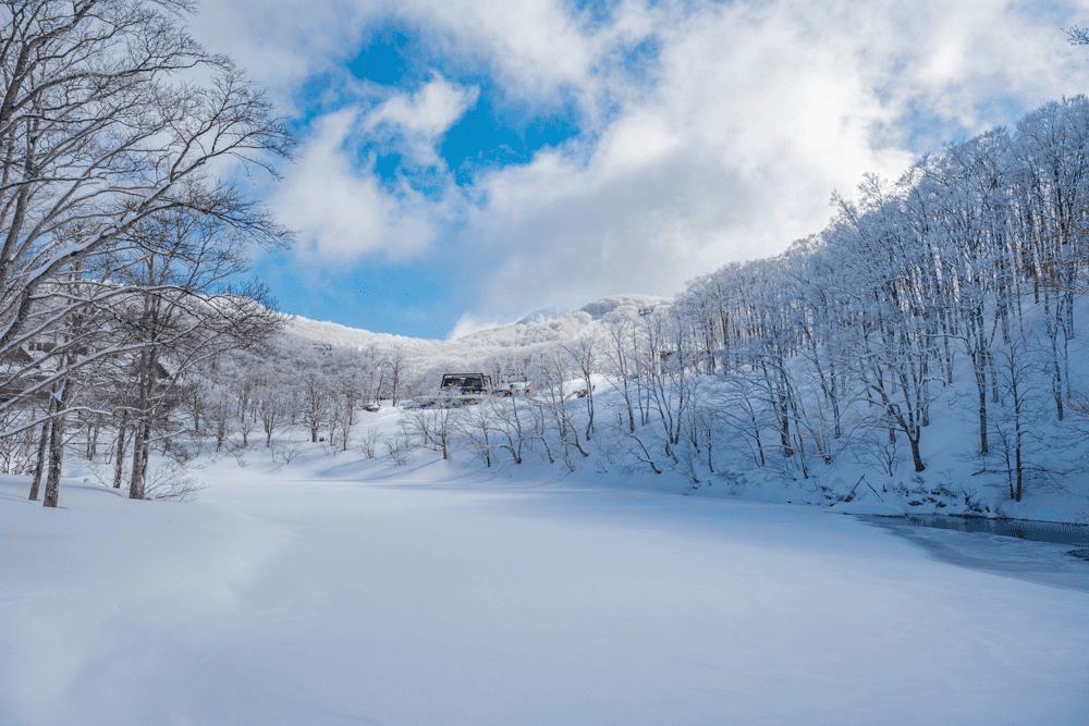 冬季はスキーなどで深雪の絶景を楽しむことができる