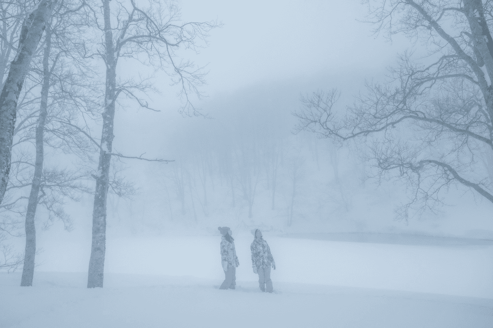 雪に覆われる神秘的な冬景色