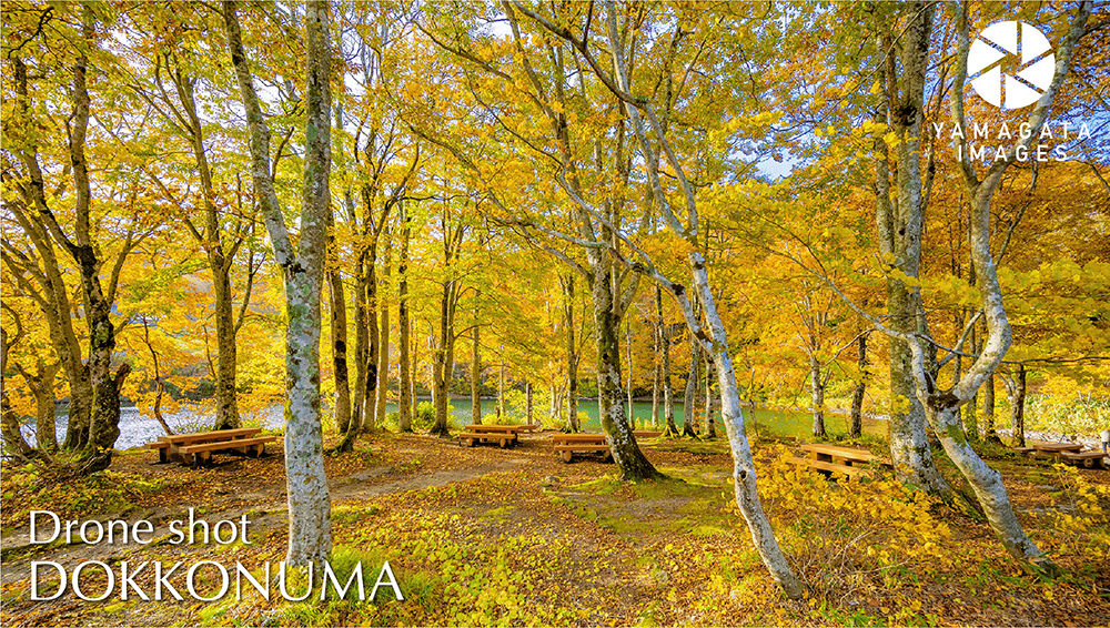 竜神伝説の沼「ドッコ沼」動画