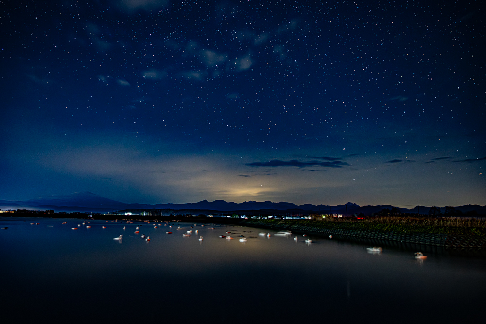 塒（ねぐら）入りした白鳥たちと一面の星空