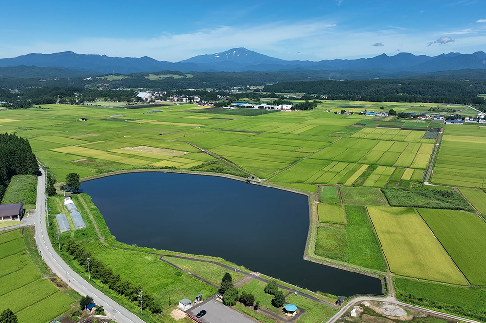 青々とした田園風景の広がりに鳥海山が聳える