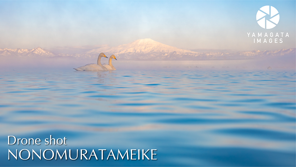 鳥海山を望む白鳥の湖「野々村ため池」動画