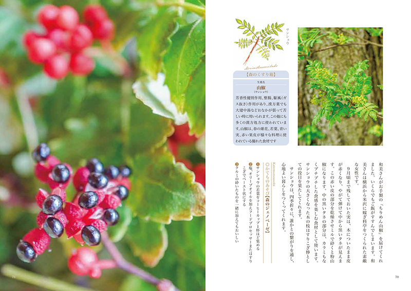 写真1