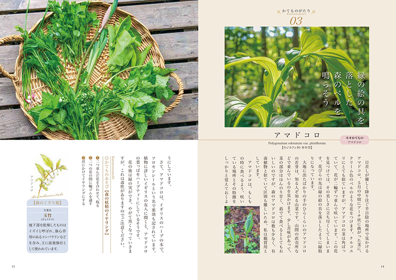 写真2