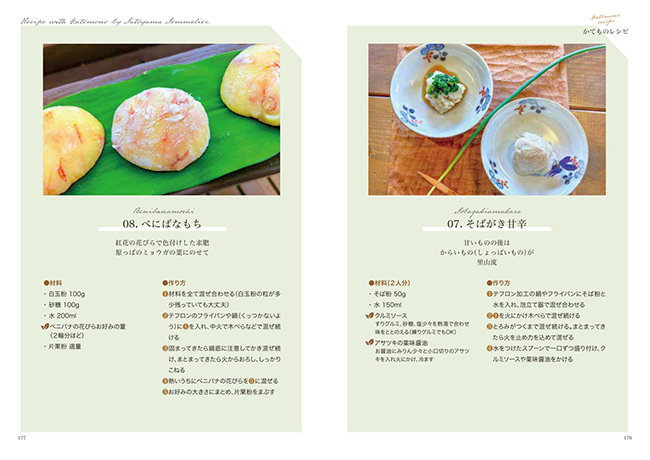 写真1