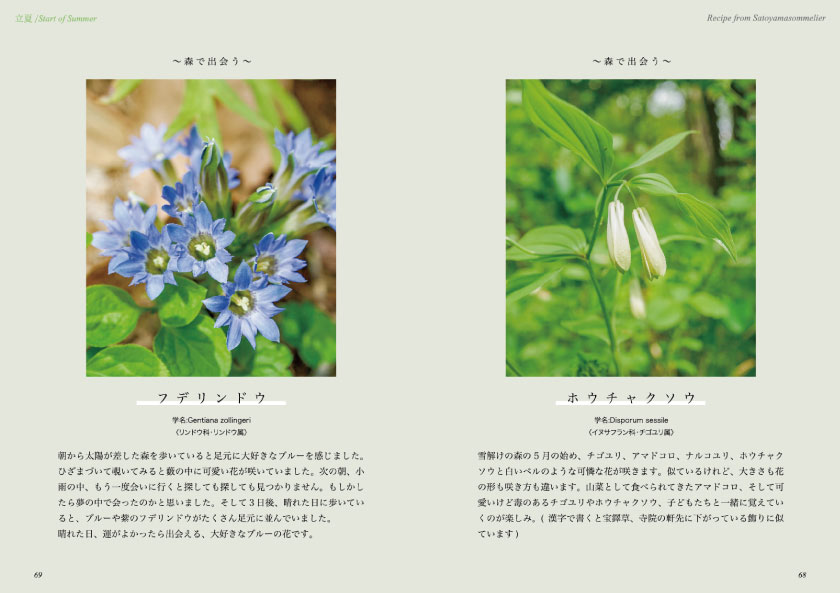 写真4